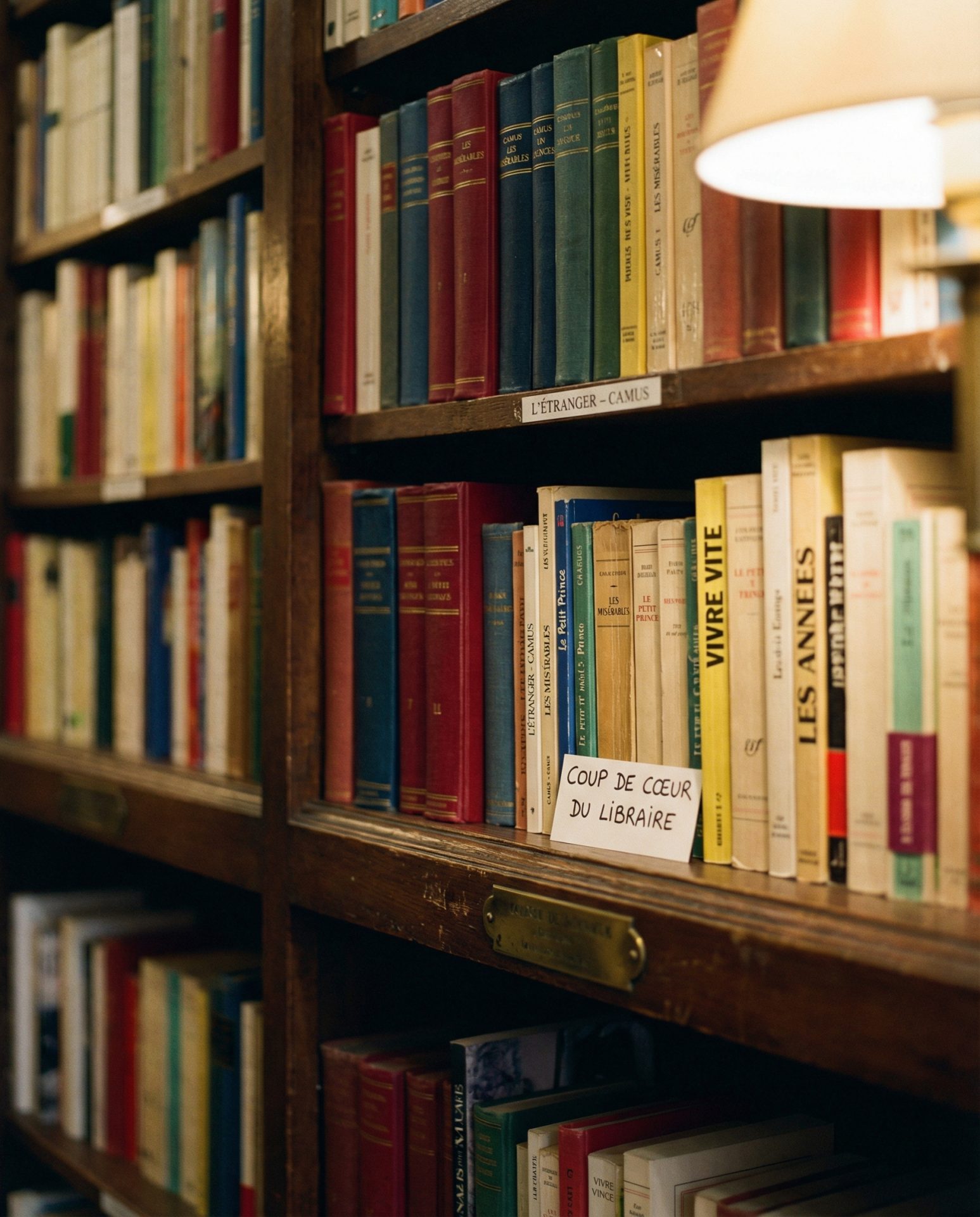 Rayons de livres de la librairie Carnot Vichy - sélection littéraire